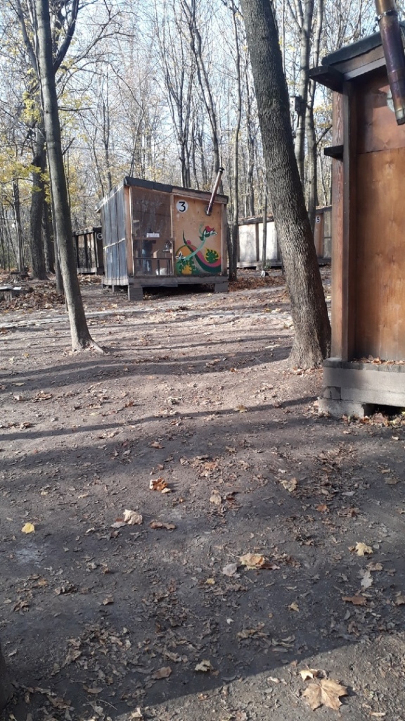 106.jpg