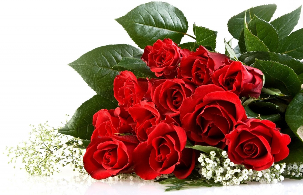romanticheskij-bolshoj-buket-krasnyx-roz.jpg